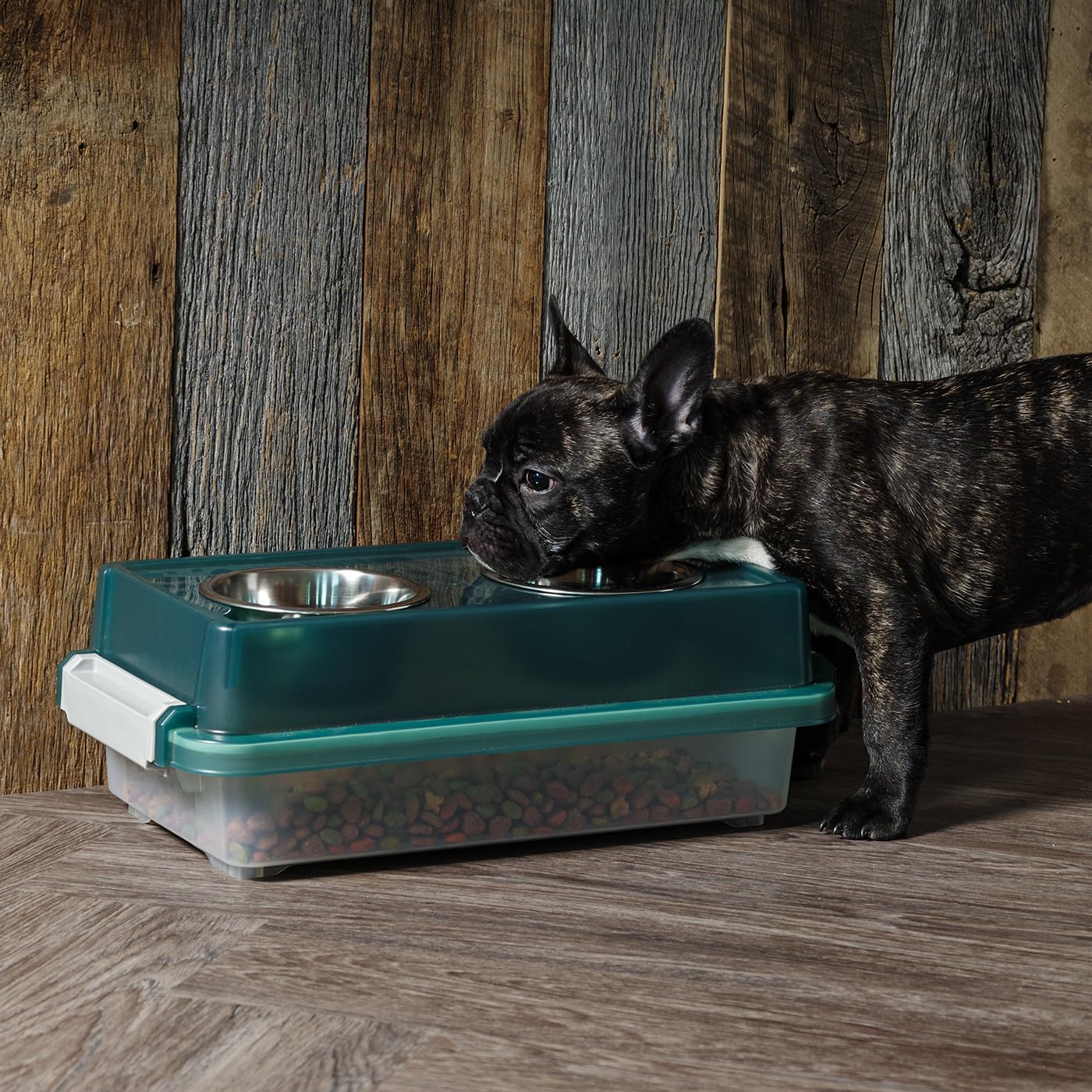 Iris Ohyama, Verhoogde Voerbak met Ondersteuning in Plastic Doos, 21L, Groen, Verhoogde Voerbak voor Hond, Kat, met Dubbele Kom, Water, Voedsel, Clips, Stevig, Opslag van Droogvoer, BPA-vrij, FS-L Iris Ohyama, Verhoogde Voerbak met Ondersteuning in Plastic Doos, 21L, Groen, Verhoogde Voerbak voor Hond, Kat, met Dubbele Kom, Water, Voedsel, Clips, Stevig, Opslag van Droogvoer, BPA-vrij, FS-L