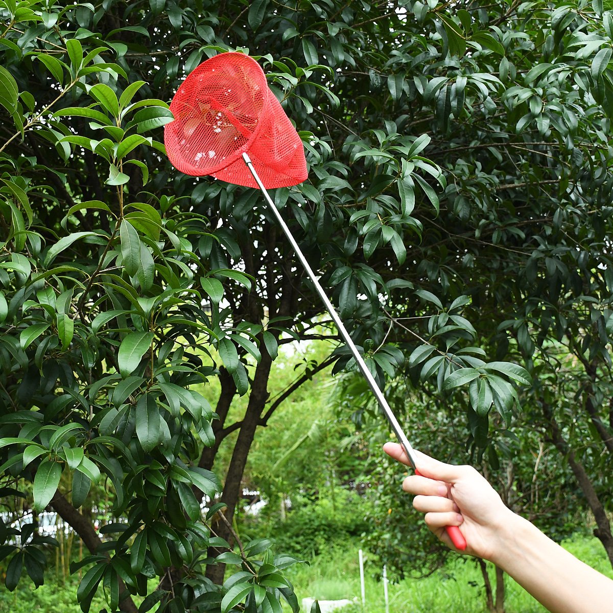 CPJJ 4 Pièces Filet à Papillon Enfant Extensible 36-80cm - Épuisette Pêche Et Capture Papillons
