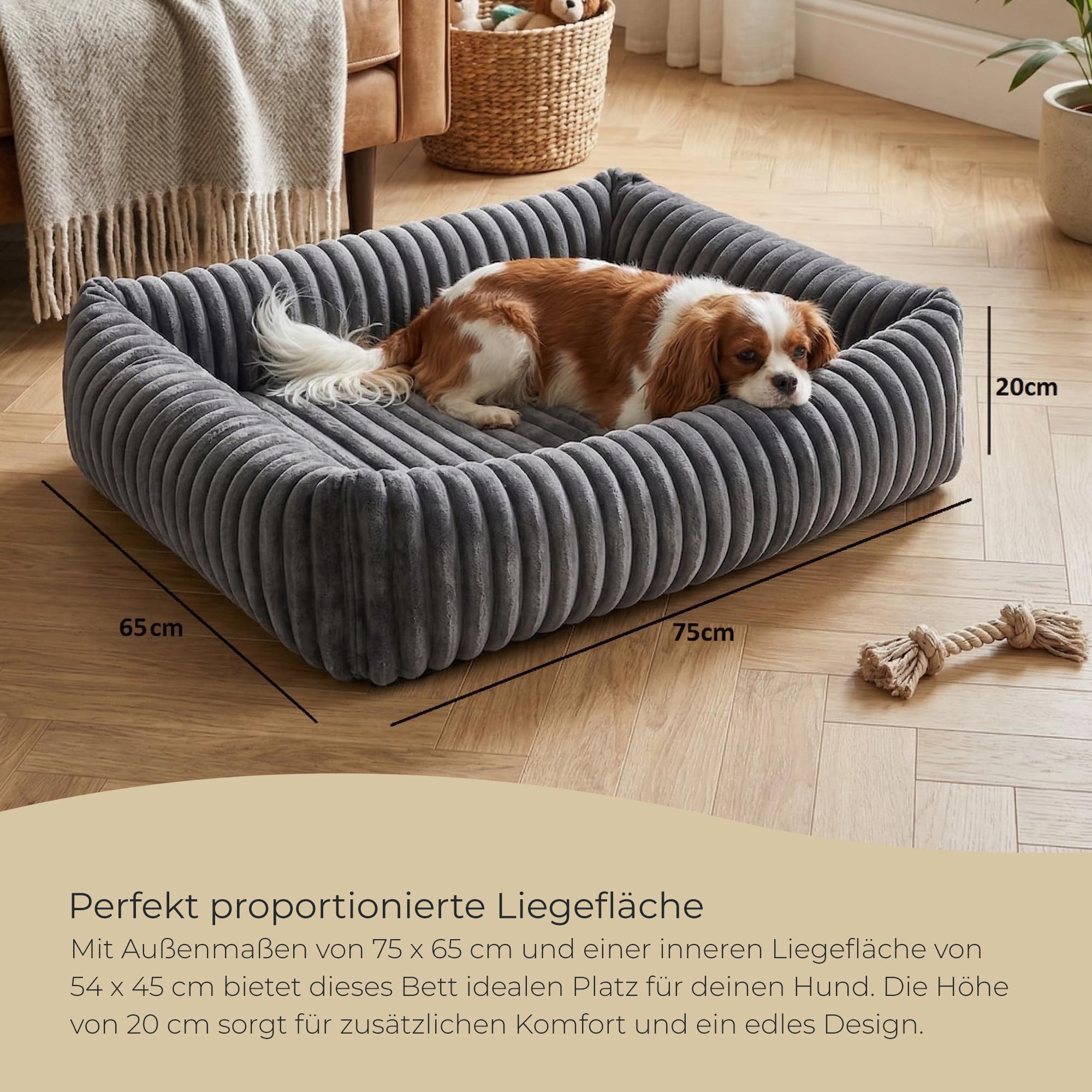 Hundebett - 75 x 65 cm Breitcord - mit stabilen Rändern und Silikonfaser-Füllung - mit separater Liegematte für Unterwegs - Hundekissen Ecru