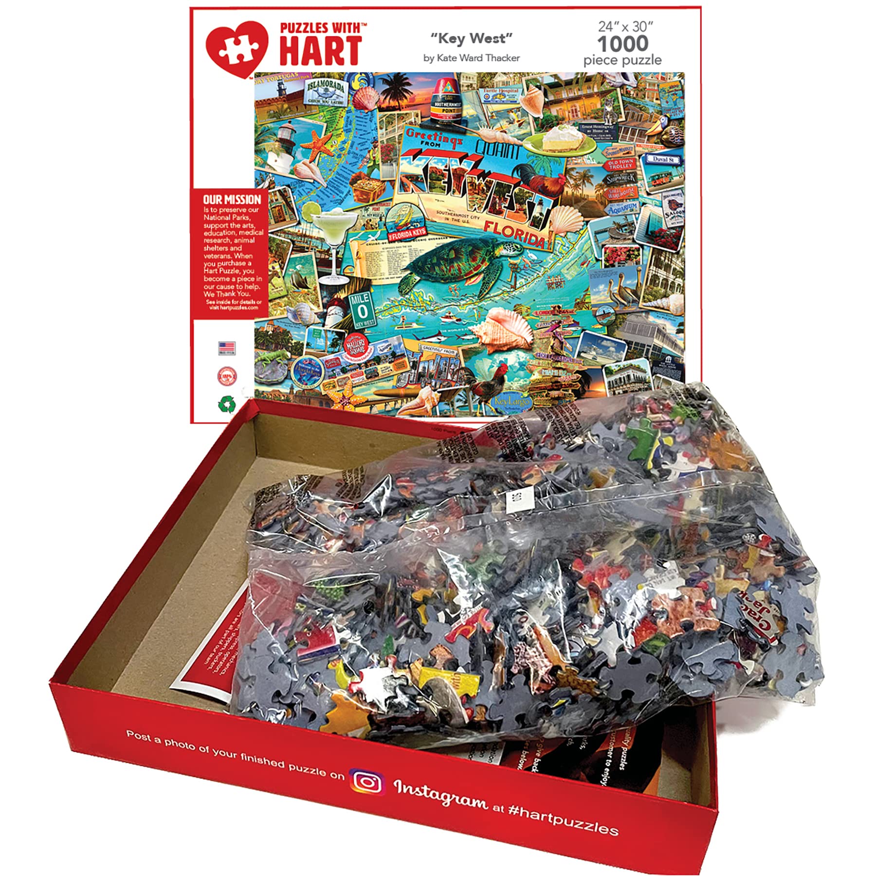 Amazon.com: Hart Puzzles Key West 1000 Piece Puzzle, 1 EA : Toys