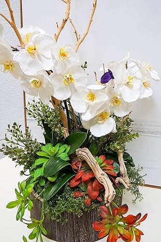 Miniatura 7 de Admired By Nature Admired by Nature-10 - Juego de 3 cajas de madera lavadas hechas de madera, contenedor ABN5E099-NTRL, C. Natural - Redondo