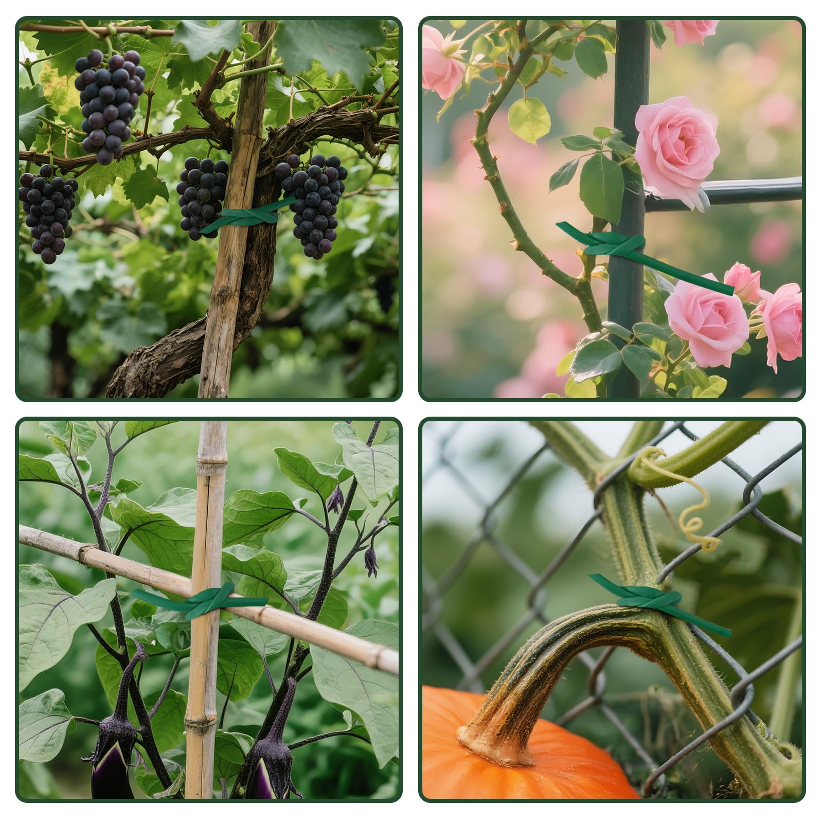 KINGLAKE Tubo de Atado Flexible, Cinta de Jardín Verde de 3mm x 50m para Plantas Trepadoras, Cuerda de Jardín de Plástico para Tomates, Rosas, Soporte para Vegetales