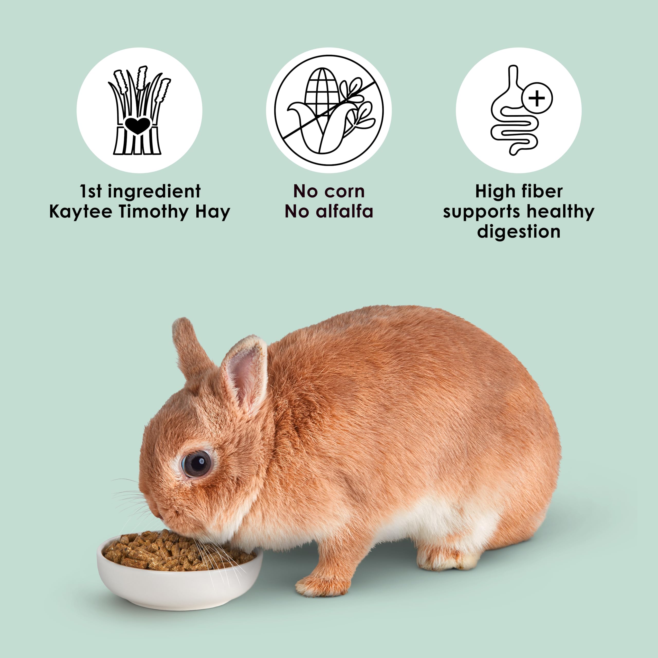 CBROSEY Kaytee Tim Hay Fiber Diet Complete Premium Alfalfa Free Rabbit Food 9.5lbs
