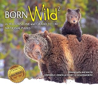 Born Wild 2 in Yellowstone and Grand Teton National Parks