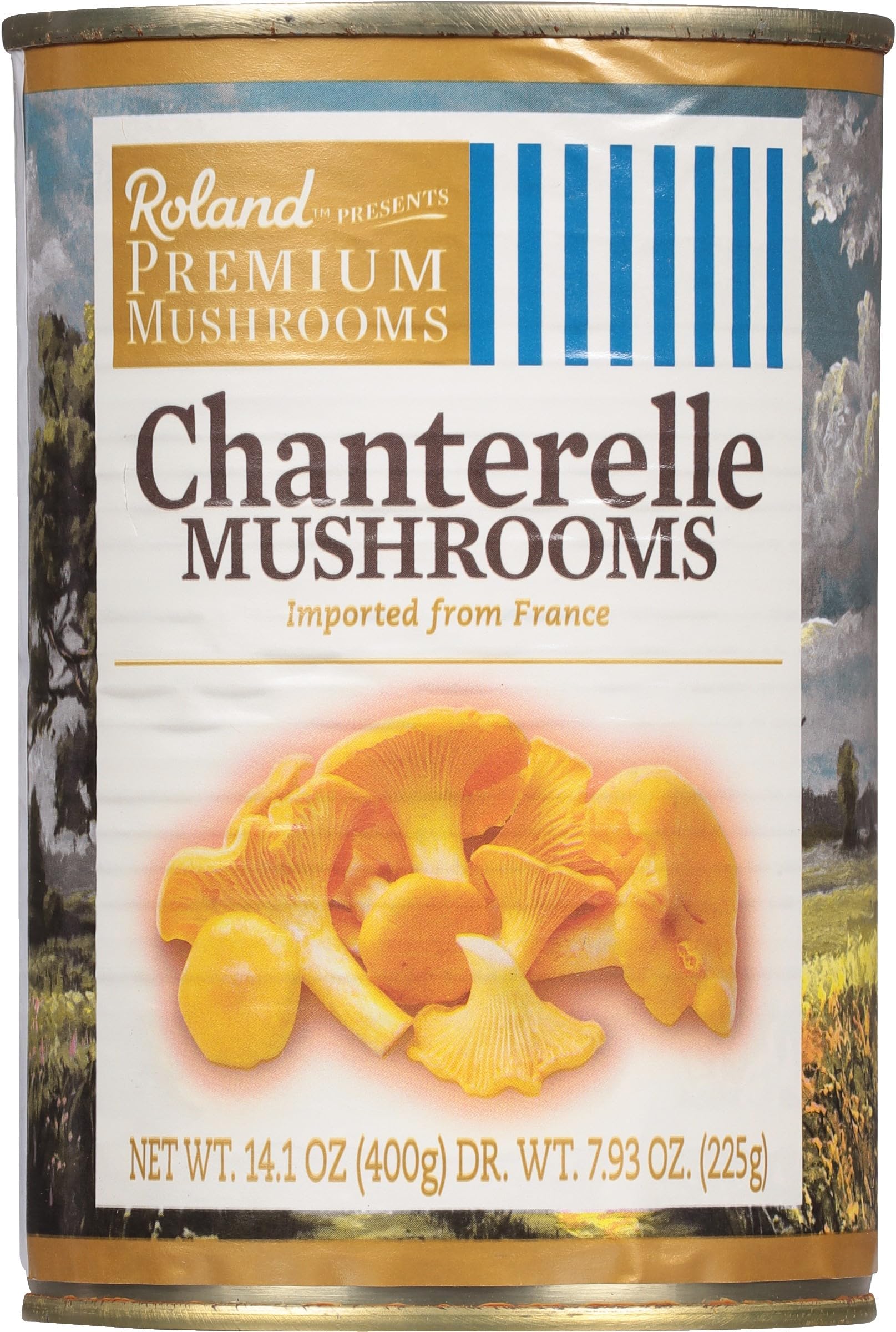 Chanterelle Mushrooms