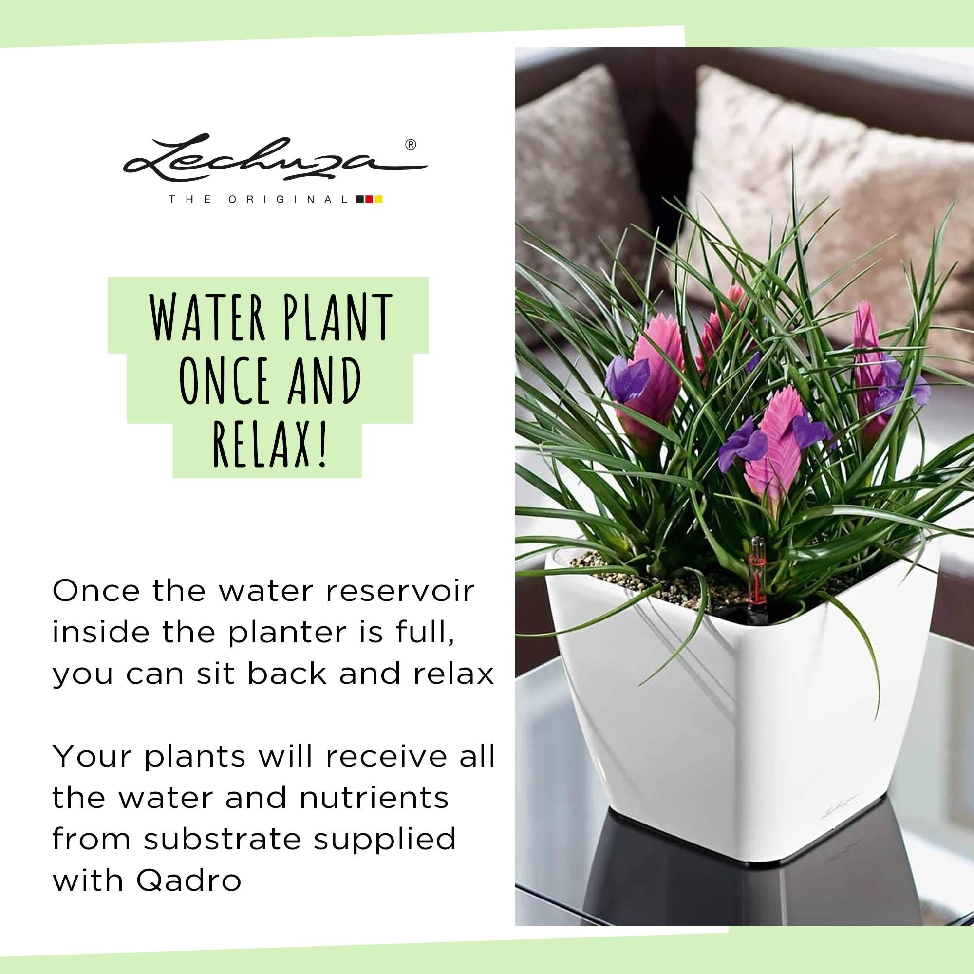 LECHUZA QUADRO LS 50 - Vaso da fiori autoinnaffiante, grande da giardino, per interni ed esterni, con foro di drenaggio e substrato per piante, Bianco lucido