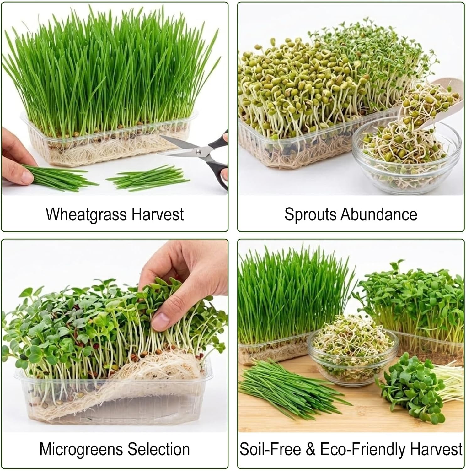 10IN x 6.5FT Hemp & Jute Microgreen Growing Mat Roll with Spray Bottle