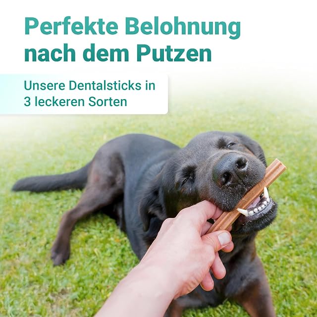 Foto 7 de 8 de emmi-pet Juego de cuidado dental para cachorros y perros jóvenes