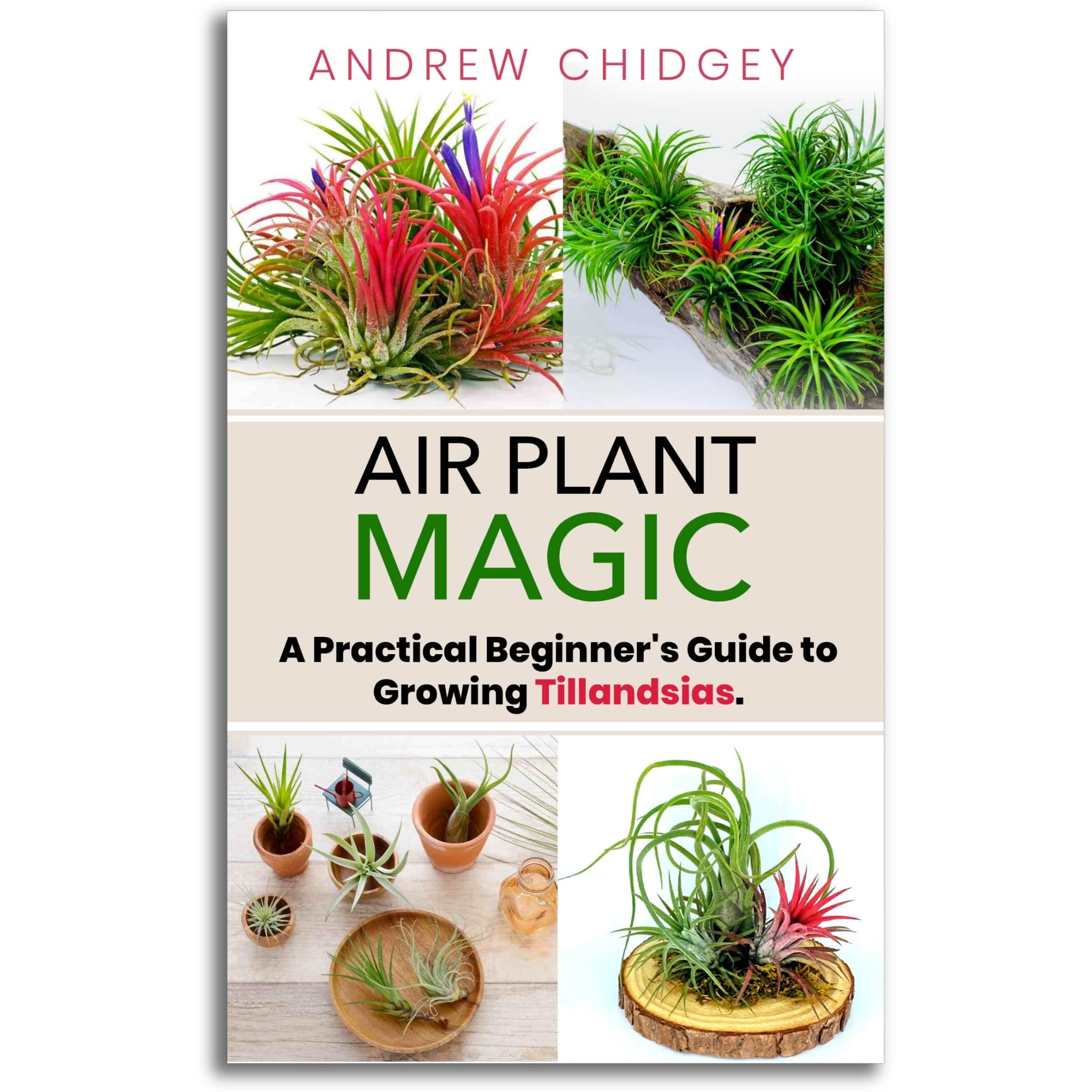 Air Plant Magic. A Practical Beginner's Guide to Growing Tillandsias Hardcover – January 8, 2023