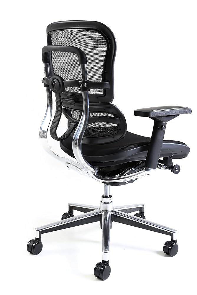 エルゴヒューマン ベーシック ブラック エルゴヒューマン ベーシック / ヘッドレスト有り【メーカー