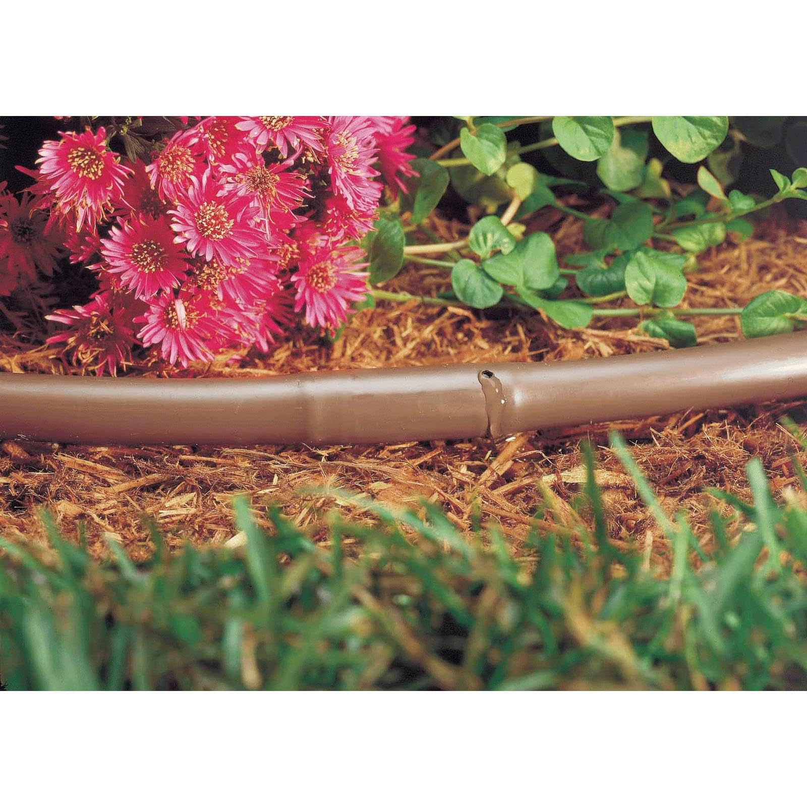 AQUACENTER Aqua-per Center M116910 Tuberia Caffé ø 16 mm, 25 m, con Marron goteros integrati Ogni 35 cm.