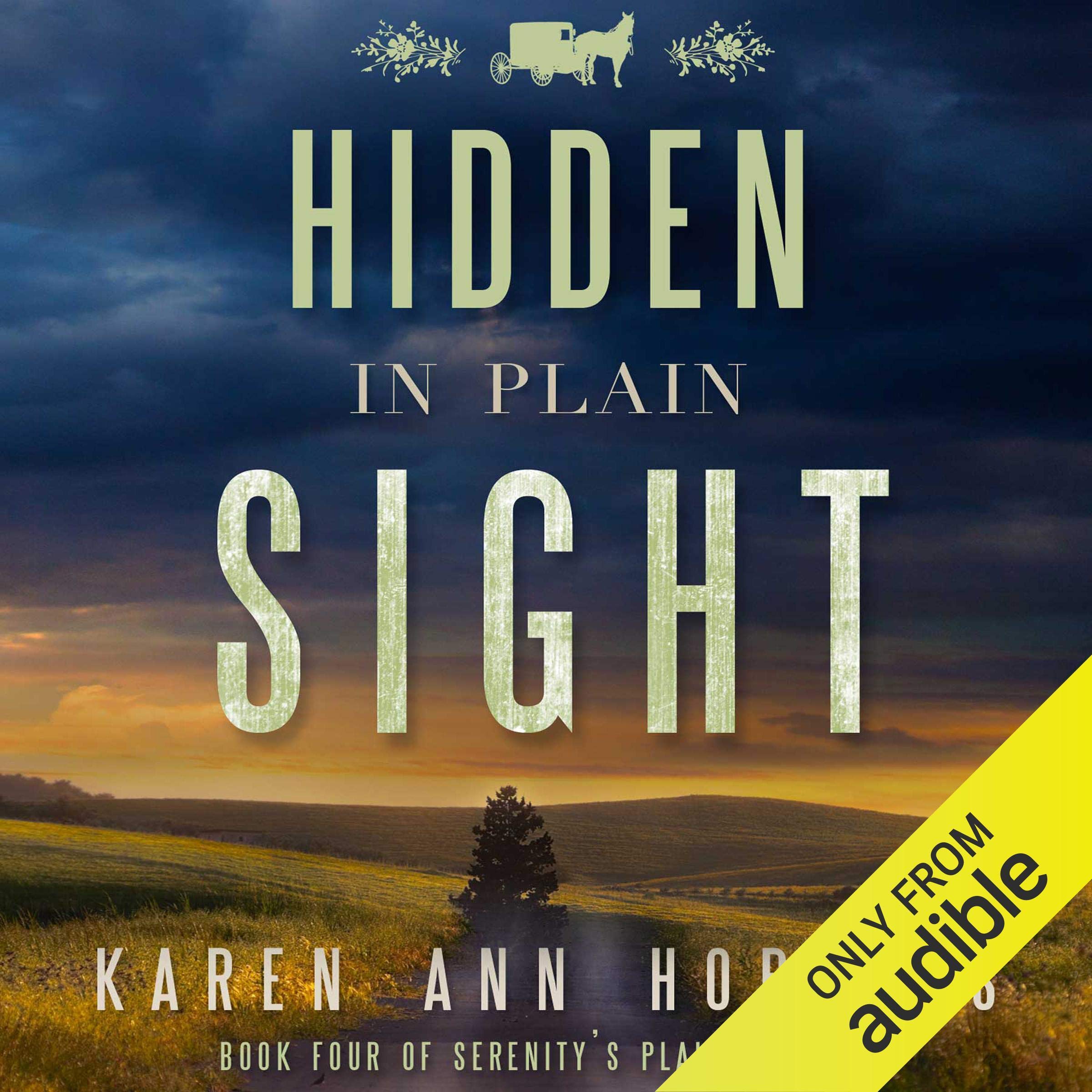 Cover art for Hidden in Plain Sight