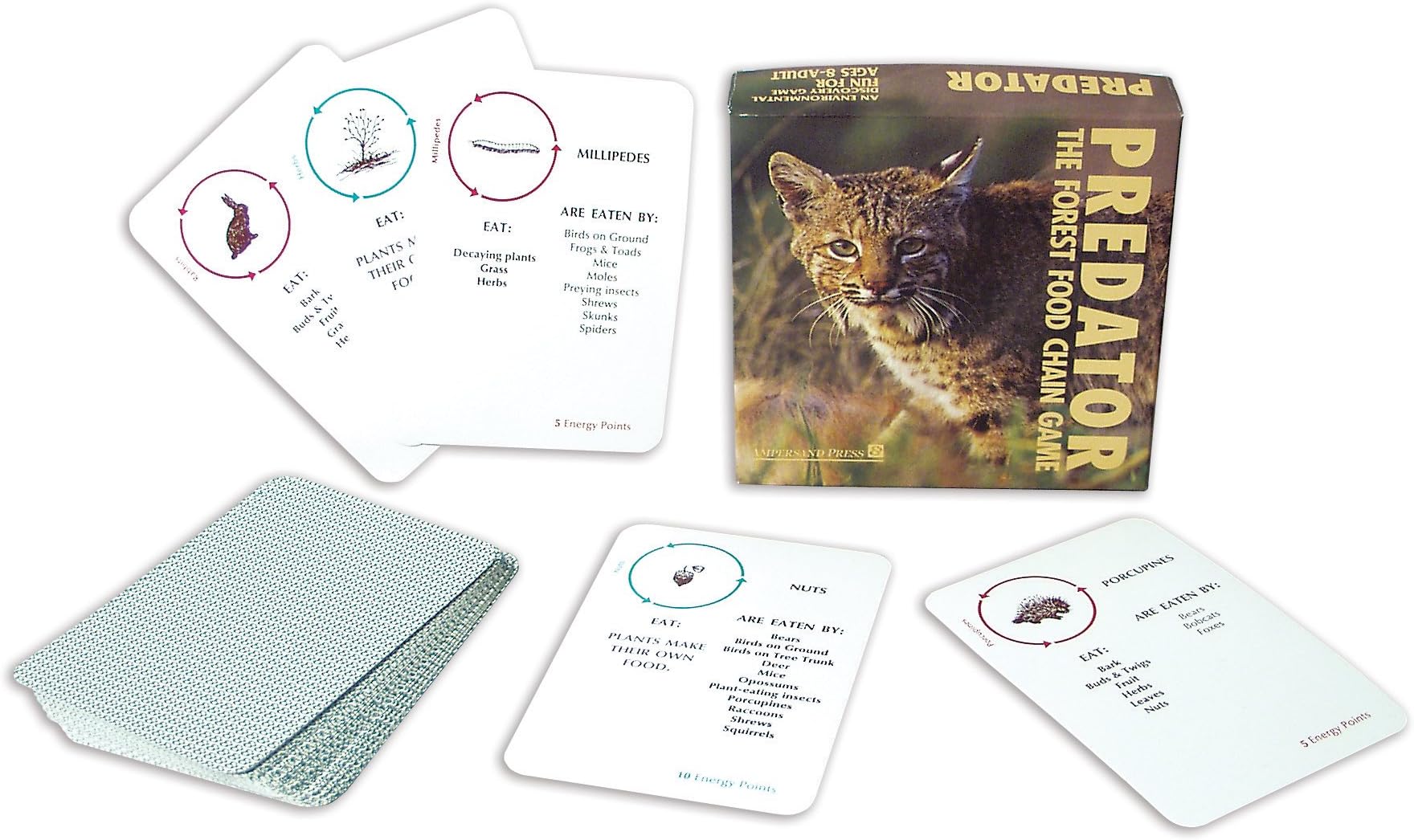 Ampersand Press Predator, The Forest Food Chain Game