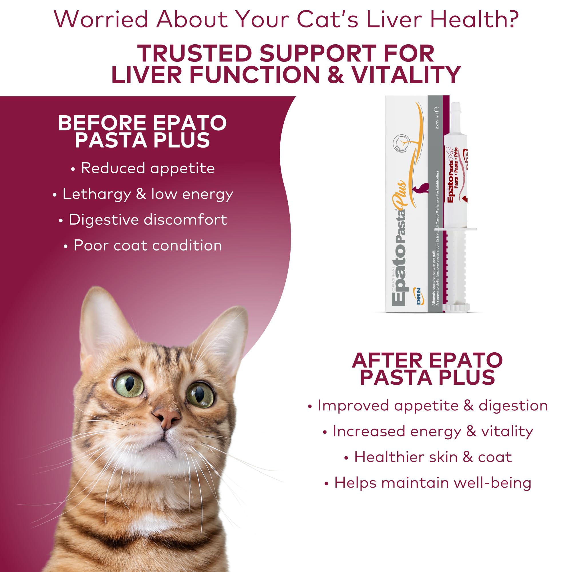 Epato Pasta Plus – Pasta Appetibile per Cani e Gatti – Supporto Quotidiano per la Funzione Epatica e il Comfort Digestivo