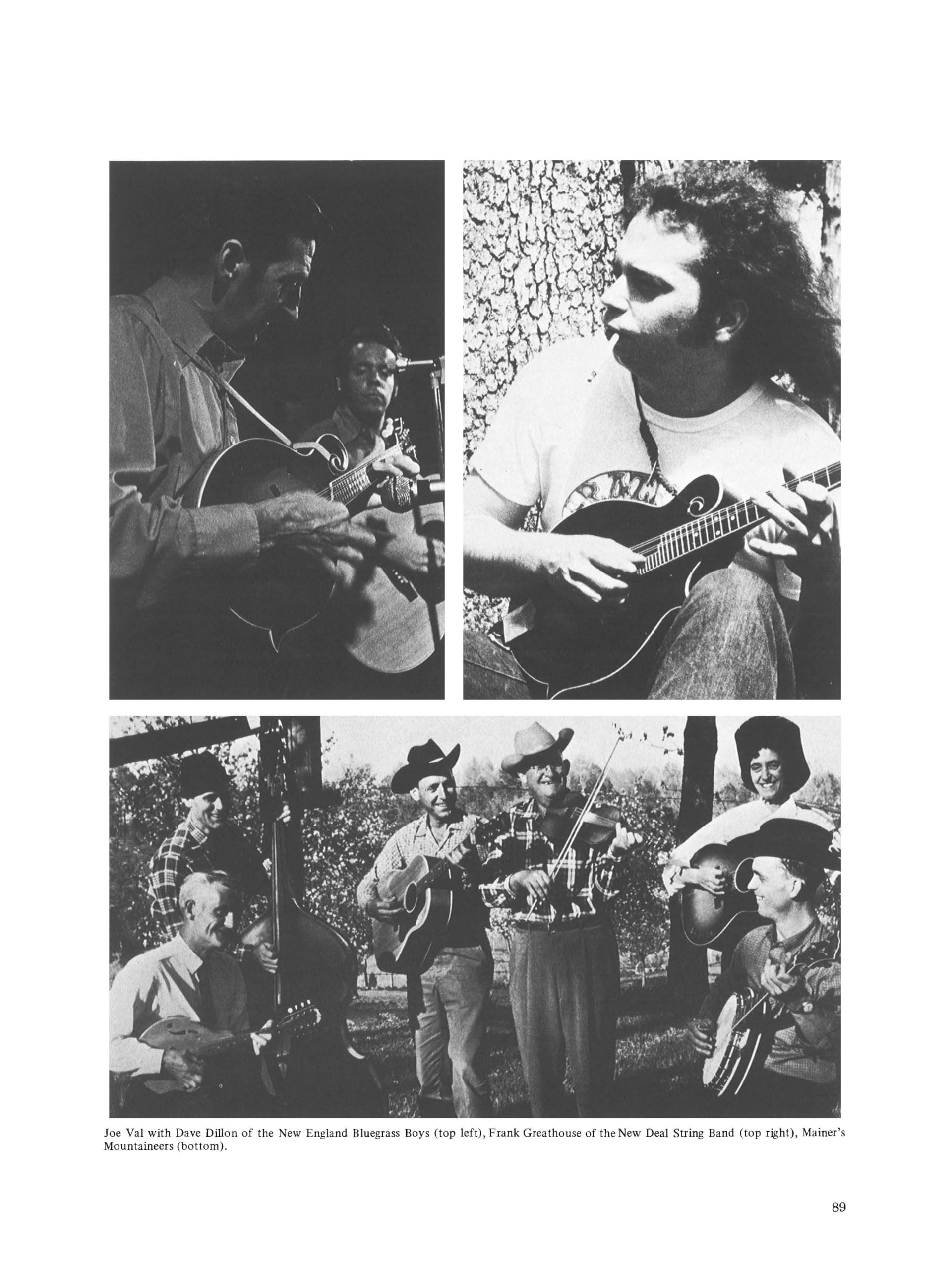 Bluegrass mandolin