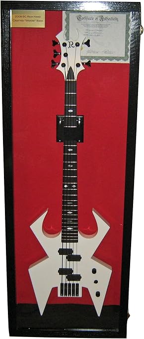 guitar display case with lights