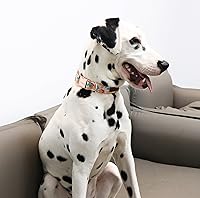 Vista 5 de Unique style paws - Collar para perro con hebilla de metal, naranja, duradero, lindo collar para perros pequeños, medianos y grandes