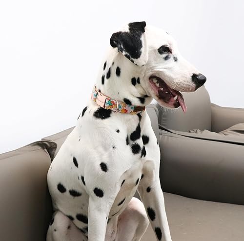 Miniatura 5 de Unique style paws - Collar para perro con hebilla de metal, naranja, duradero, lindo collar para perros pequeños, medianos y grandes