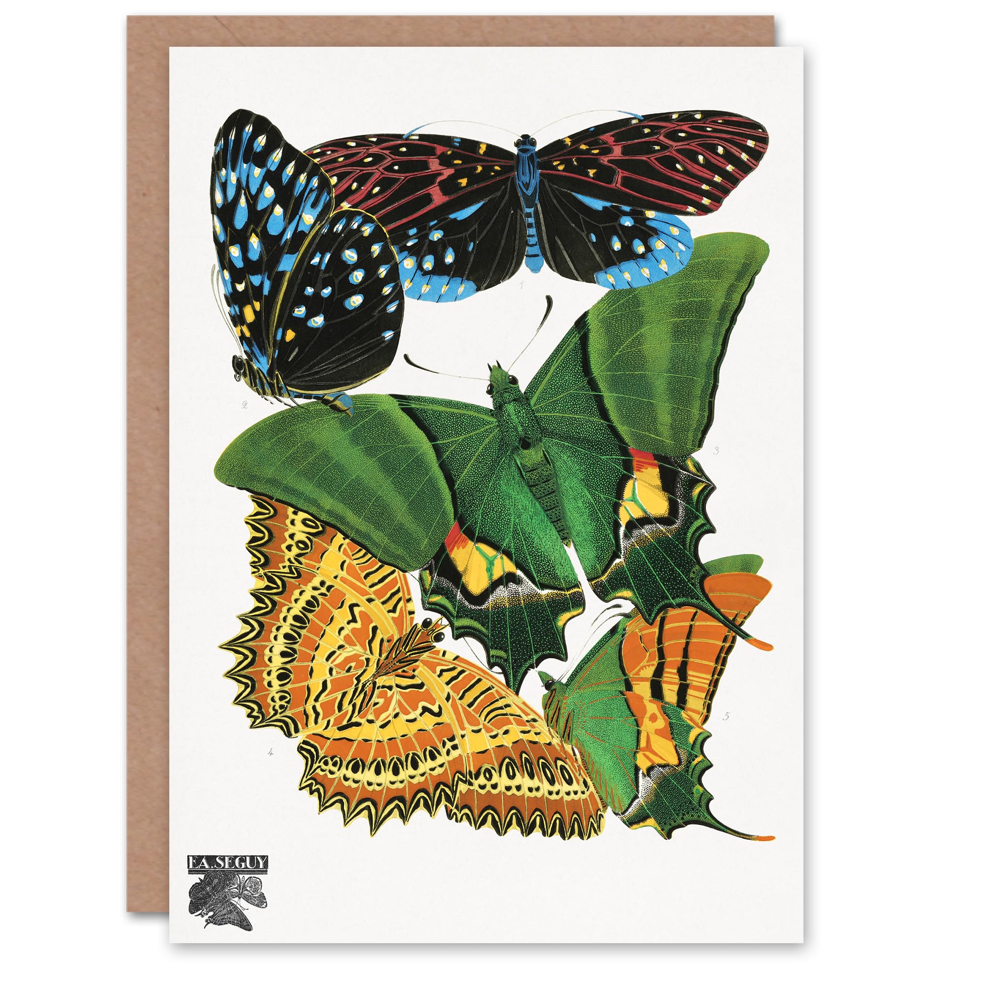Artery8 Eugene Seguy Art Card Vintage Vibrant Butterflies Papillons