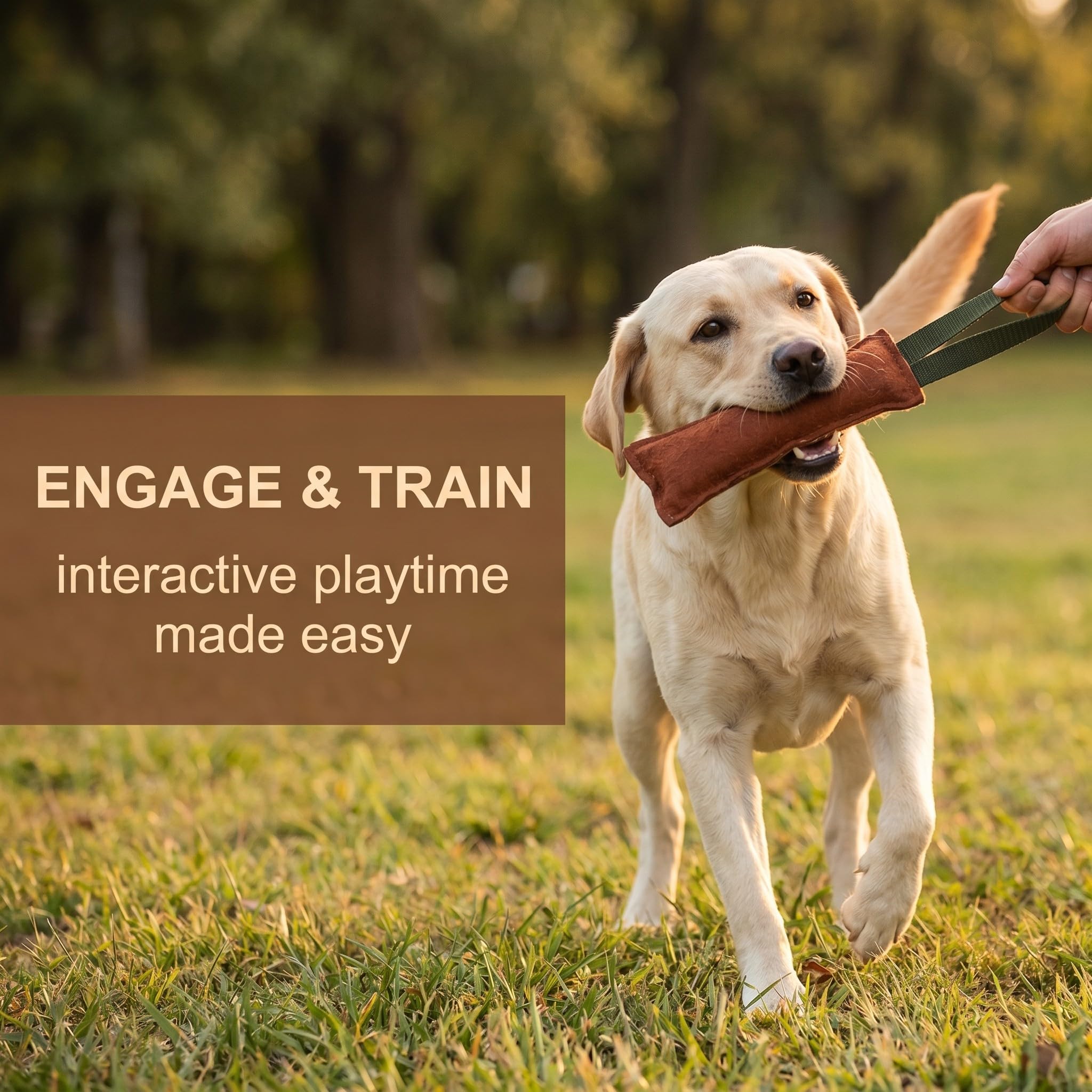 Agility Bite Tug per Cane, 1 pezzi, Divertimento per Cani, Tiro alla fune per cani, Bastone interattivo da masticare per addestramento cani