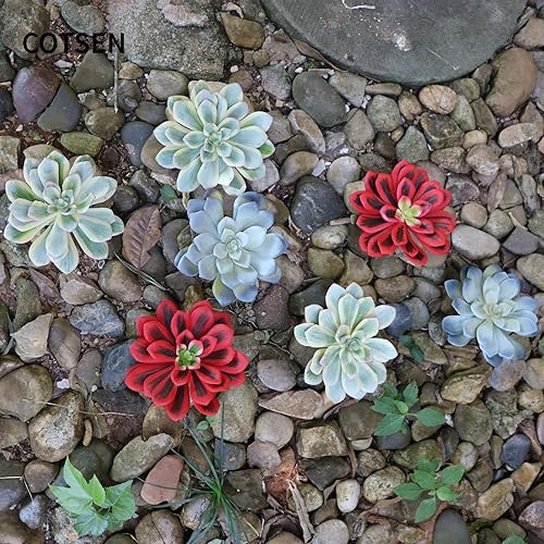 Miniatura 5 de 3 piezas de suculentas artificiales sin maceta, surtidas suculentas falsas para decoración de oficina, familia, jardín