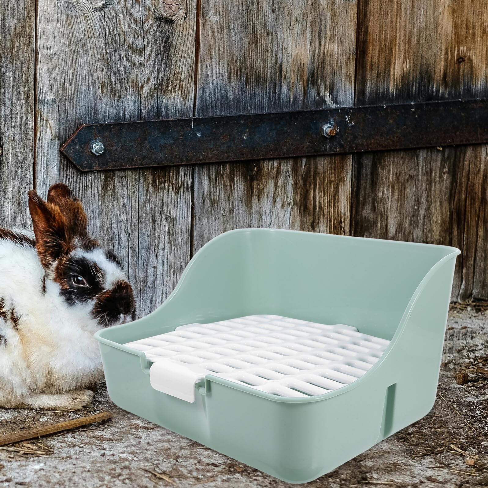 SHINEOFI Eck Katzentoilette für Frettchen und Meerschweinchen aus Abs mit Vier Ecken Hellgrün Bietet Viel Platz und Komfortable Umgebung fürs Training