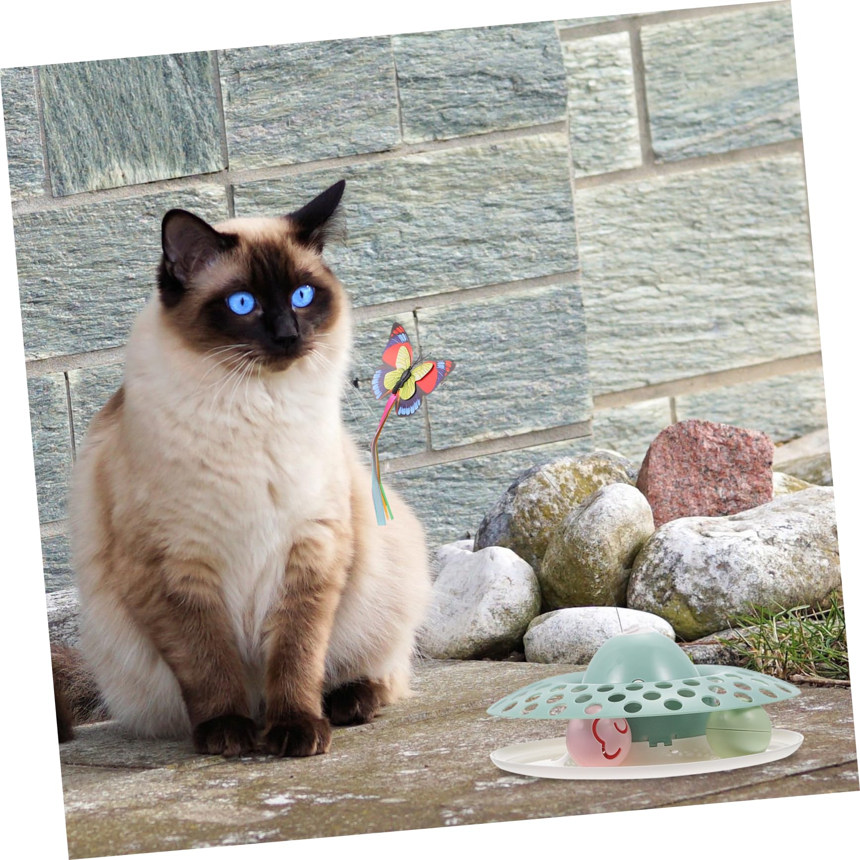 Jouet Interactif à Tourner pour Chats en Abs Vert Résistant aux Morsures 1 Set