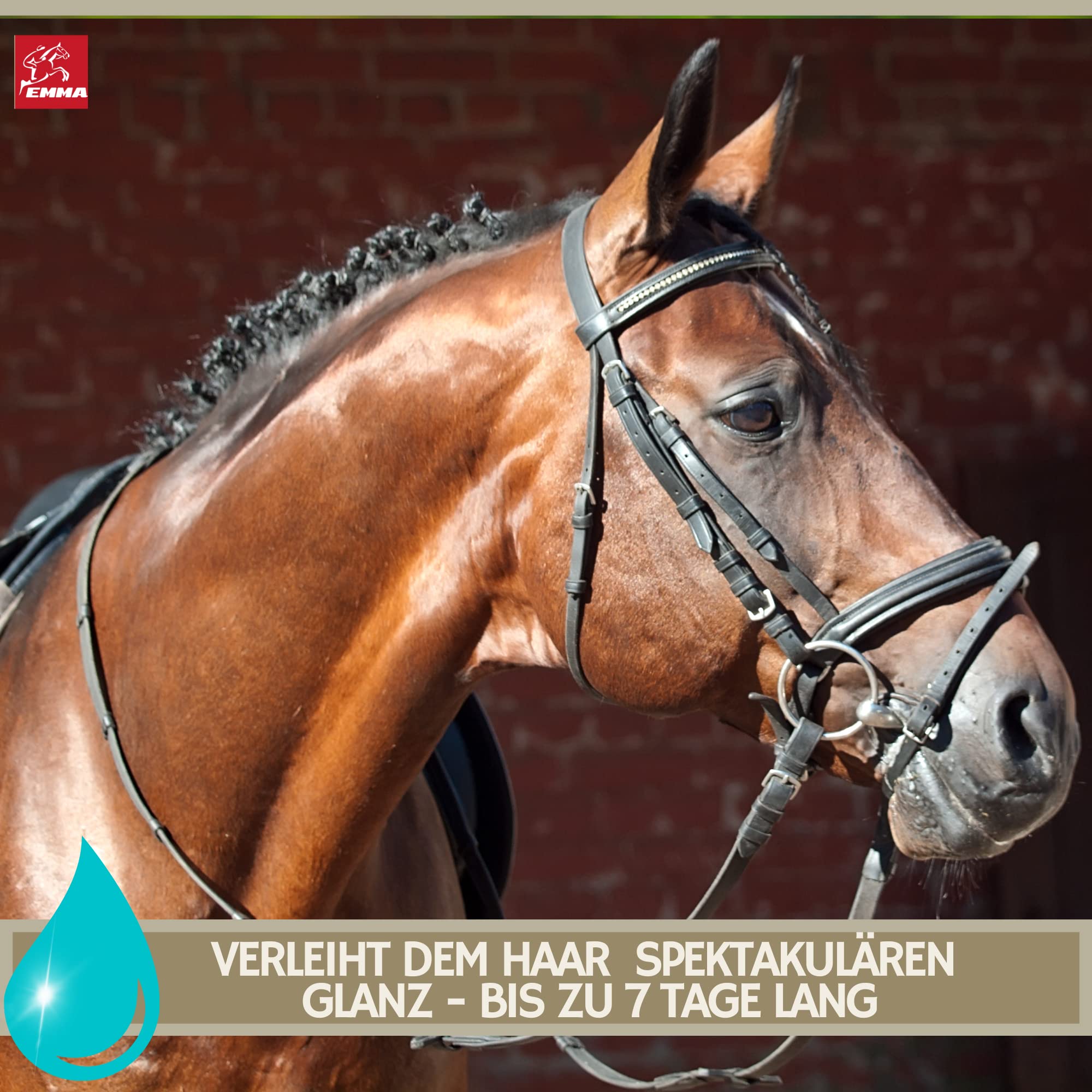 Spray de crin para caballos I Spray de cola Spray para el cuidado del pelaje Spray de brillo I desenredante I para el cuidado del pelaje I Limpia Desenreda Peine Ayuda al peinado Crin Cola 2,5L 500ml