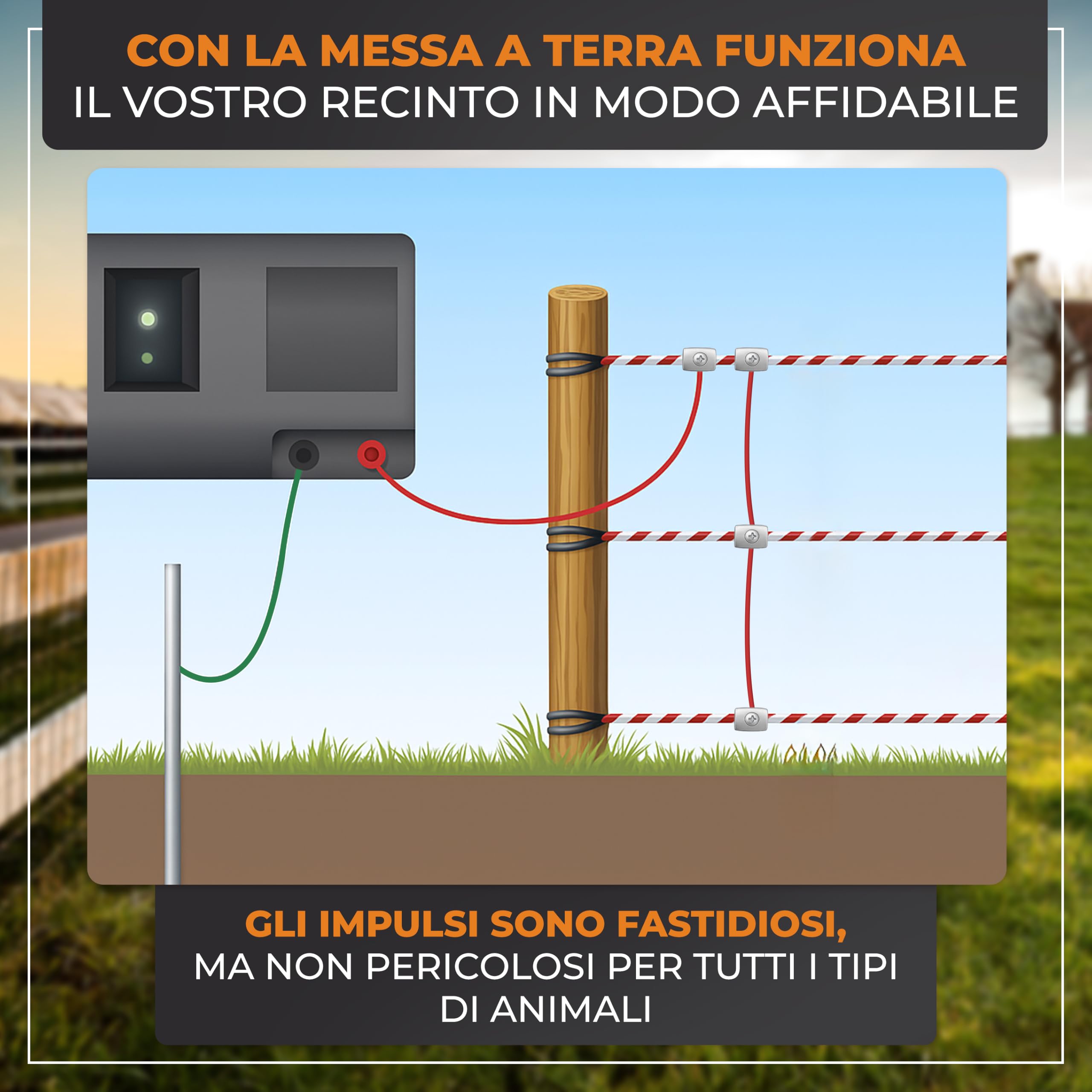Kit starter recinto elettrico M | Filo 200m con 10 pali e accessori
