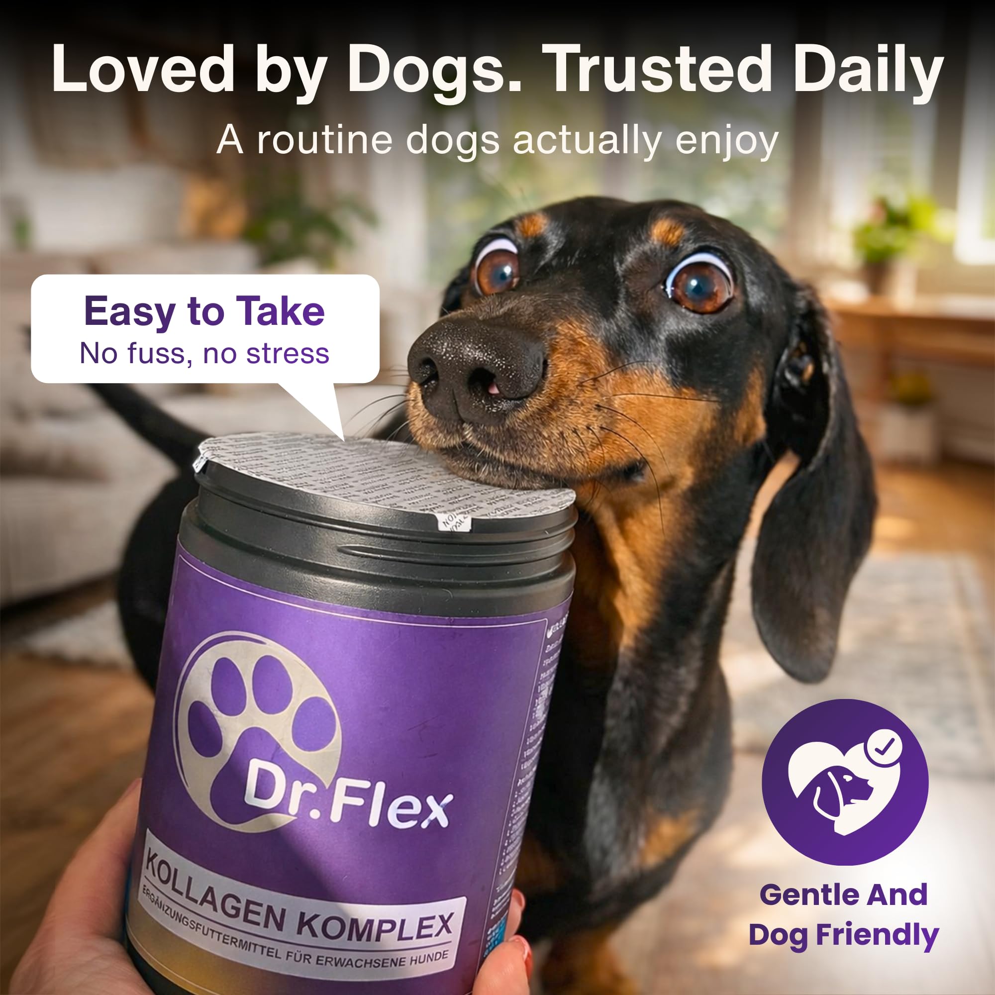 Dr. Flex Kolagen dla Psów + Kompleks Witaminy B – 300 g proszku z 4500 mg kolagenu wołowego i 500 mg hydrolizowanego kolagenu morskiego Typ I, II, III – witaminy B12, B1, B2, B3, B5, B9