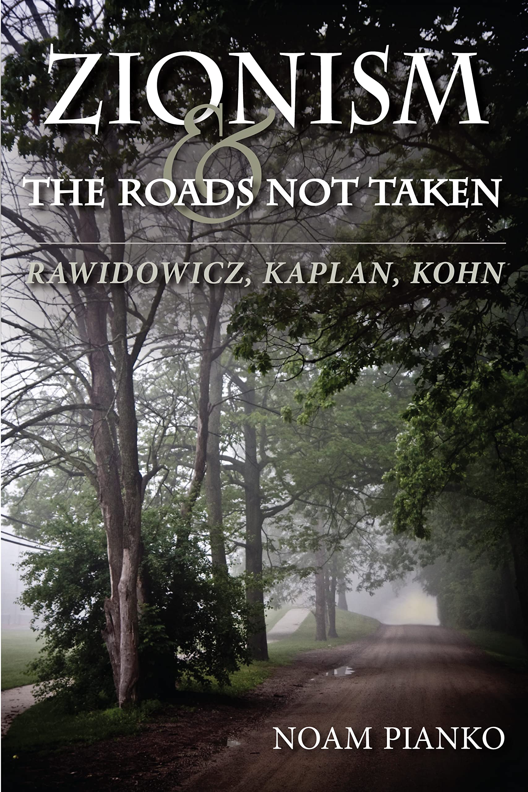Zionism and the Roads Not Taken: Rawidowicz, Kaplan, Kohn (The Modern Jewish Experience)