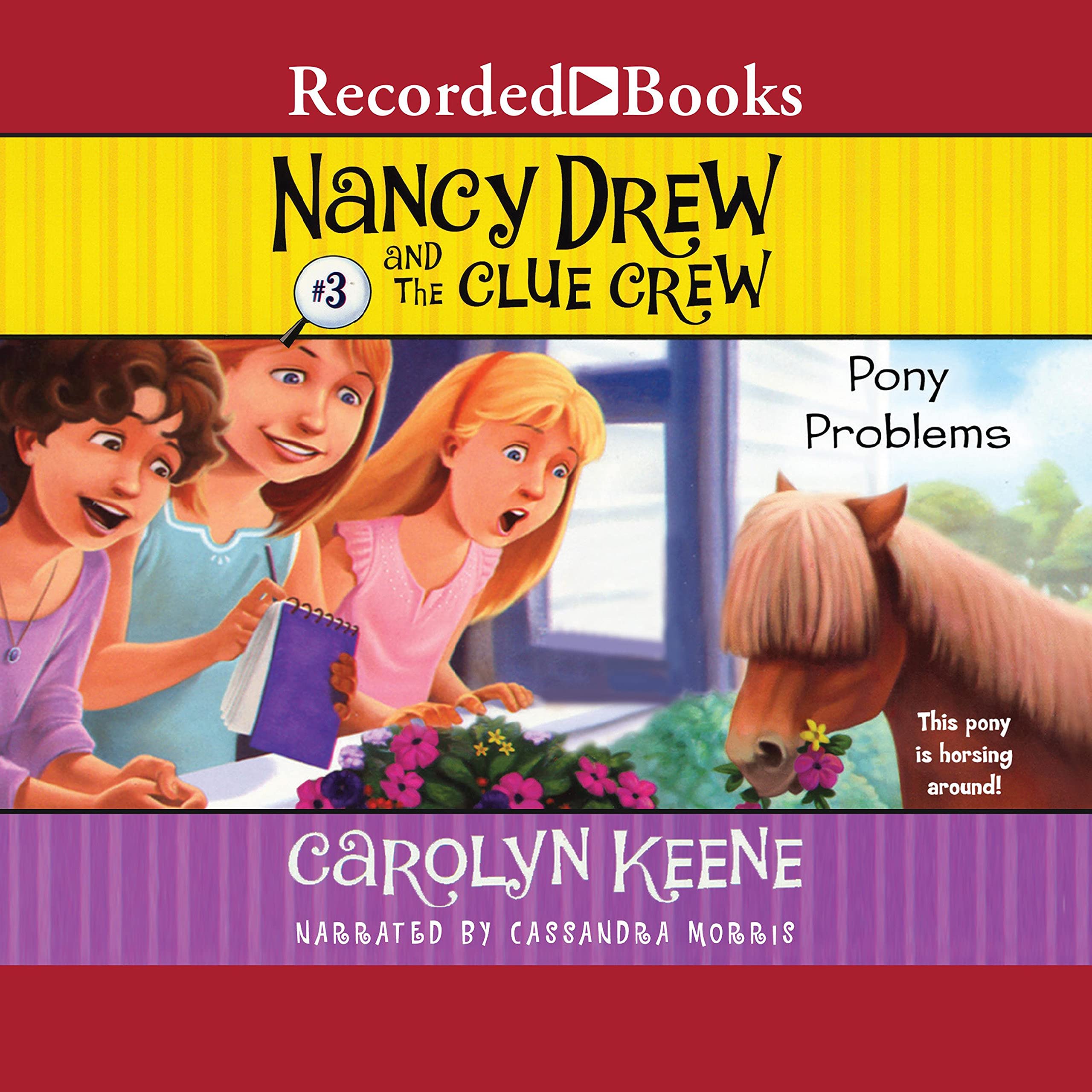 Cover art for Pony Problems: Nancy Drew and the Clue Crew, Book 3