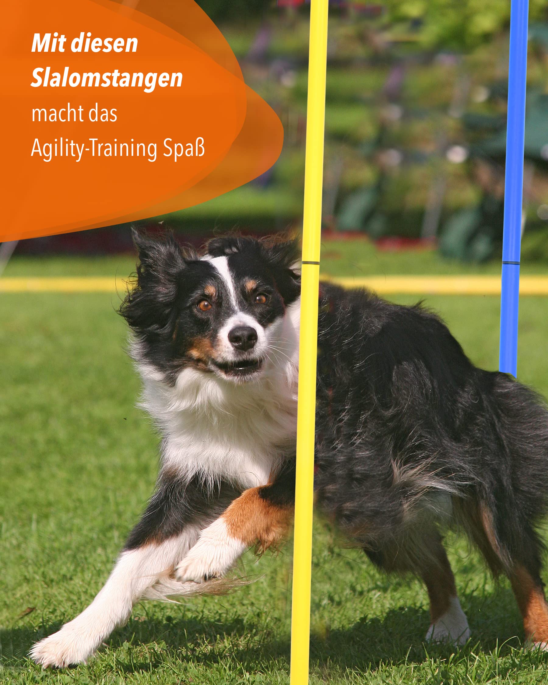 Slalomstangen 180 cm, ø 32 mm – 3er-Set – Trainingsstangen mit Metallspitze – Agility-Stangen – für Agility- & Koordinationstraining – für Fußball & Hundesport
