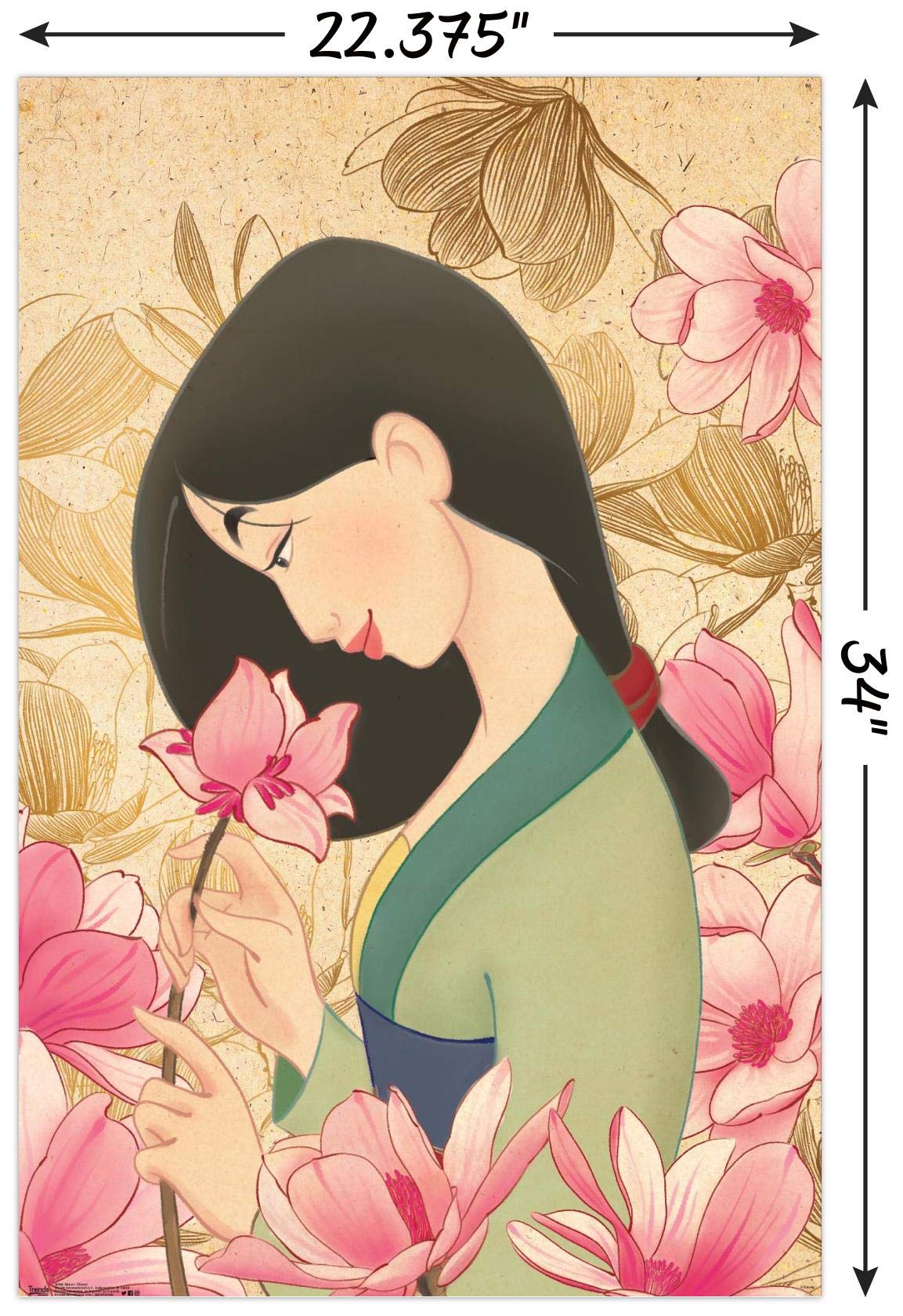 Amazon.co.jp: Trends International ディズニー ムーラン