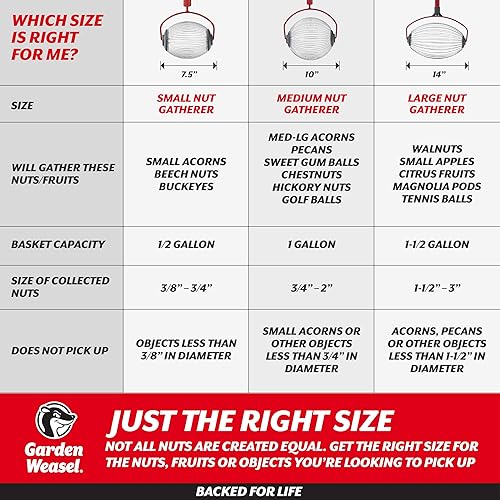 Miniatura 9 de GARDEN WEASEL Rodillo recolector de nueces grande  Herramienta colectora de nueces para nueces, pelotas de goma de mascar dulce, pelotas de tenis y