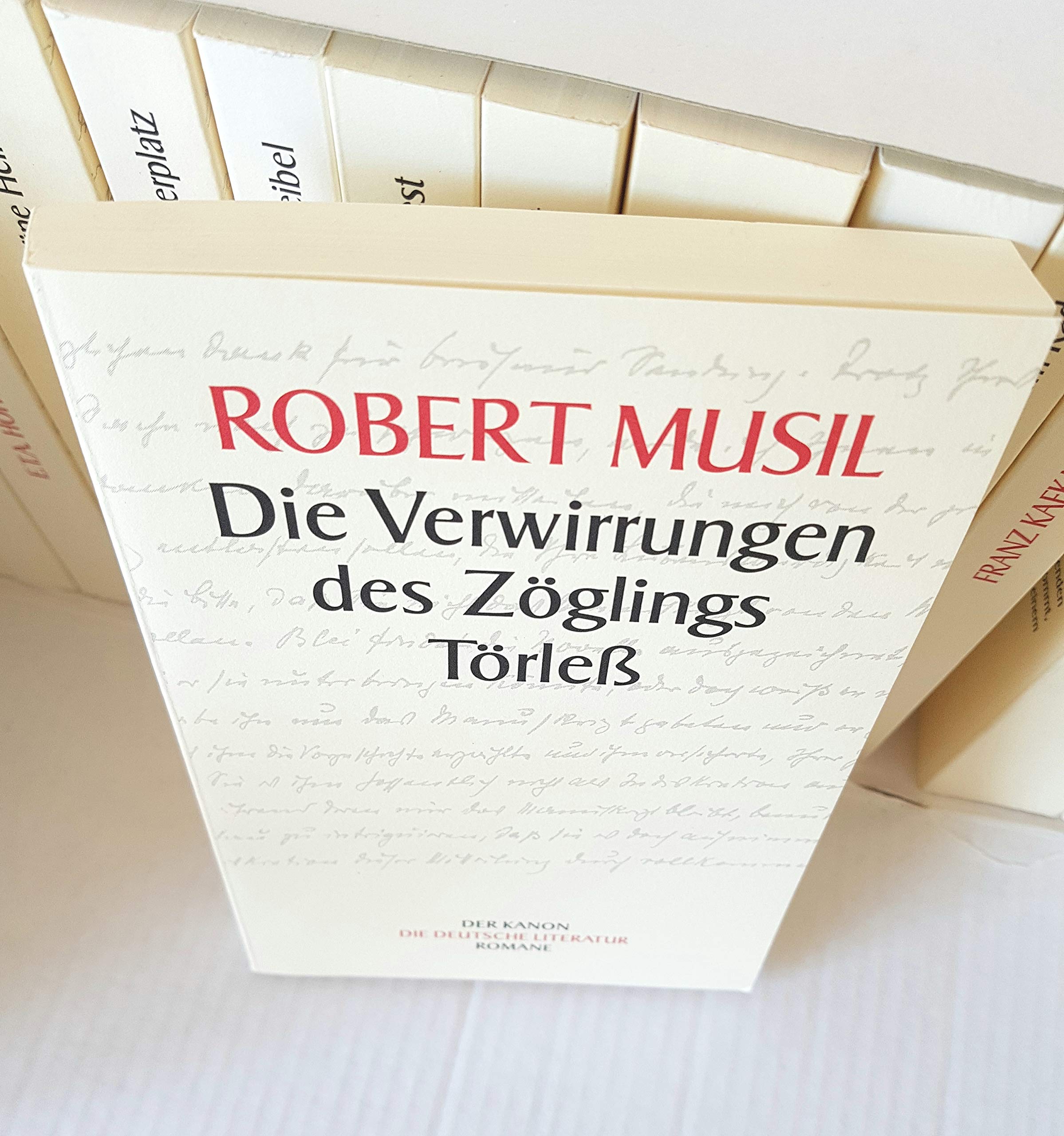 Der Kanon. Die deutsche Literatur. Romane: 20 Bände und ein Begleitband im Schuber (insel taschenbuch)