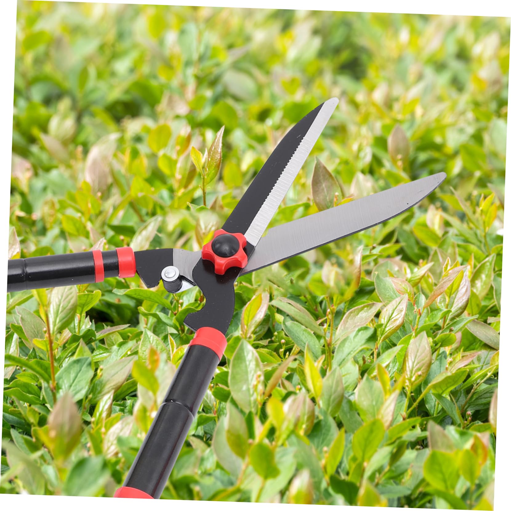 BESPORTBLE Cisaille à Haie Manuelle Outils De Jardinage Coupe-bordures Pour Arbustes Et Fleurs Poignée Ergonomique Caoutchouc