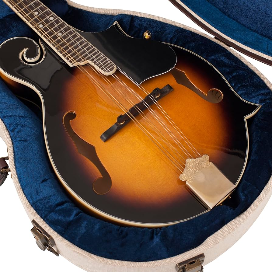 木製マンドリン ケース付き 71f5CSE+3HL._AC_SY200_QL15_.jpg