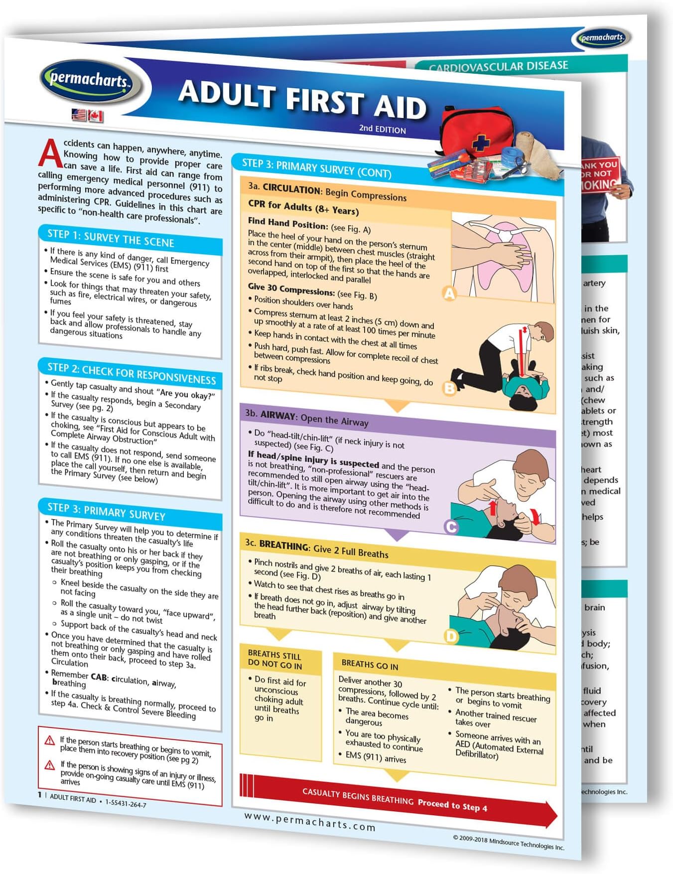 Adult First Aid Guide - Medical - Emergency Quick Reference Guide by Permacharts