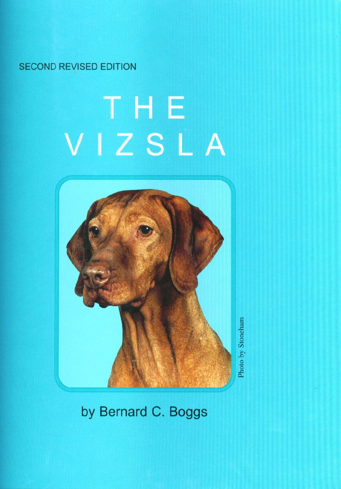 The vizsla Bernard Boggs