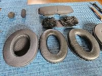 Review Image by Scott D. Foody Scott D. Foody