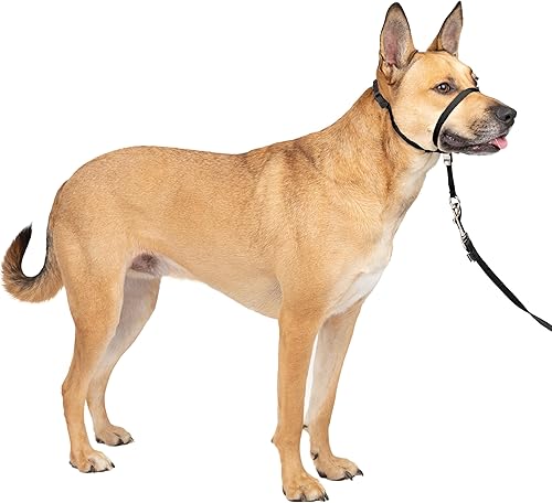 PetSafe Cuello de cabeza suave para perro sin tirones perfecto para entrenamiento con correa y arnés PetSafe Cuello de cabeza suave para perro sin tirones perfecto para entrenamiento con correa y arnés