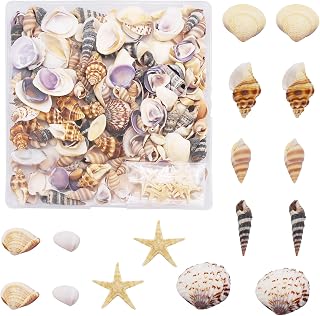 1 Box of 200pcs Small Shell Conch Starfish Natural Tiny Ocean Seashells for DIY Miniature Beach Critter Decor Arts Crafts Projects Fish Tank Vase Filler