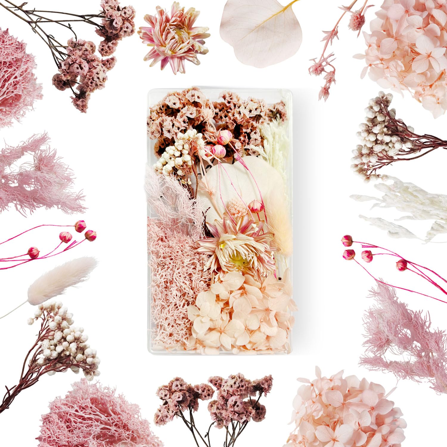 Flores Secas Manualidades Flores Preservadas Naturales Flores Secas Decorativas Flores Prensadas Secas Naturales para Marco de Foto DIY Decoración Artesanal (Rosa)