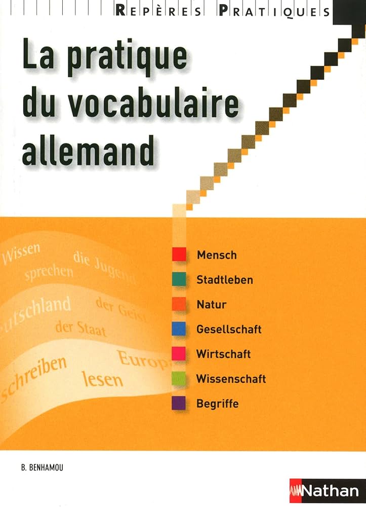 La Pratique Du Vocabulaire Allemand - Collectif - Livre D'occasion (ISBN 2091778184)
