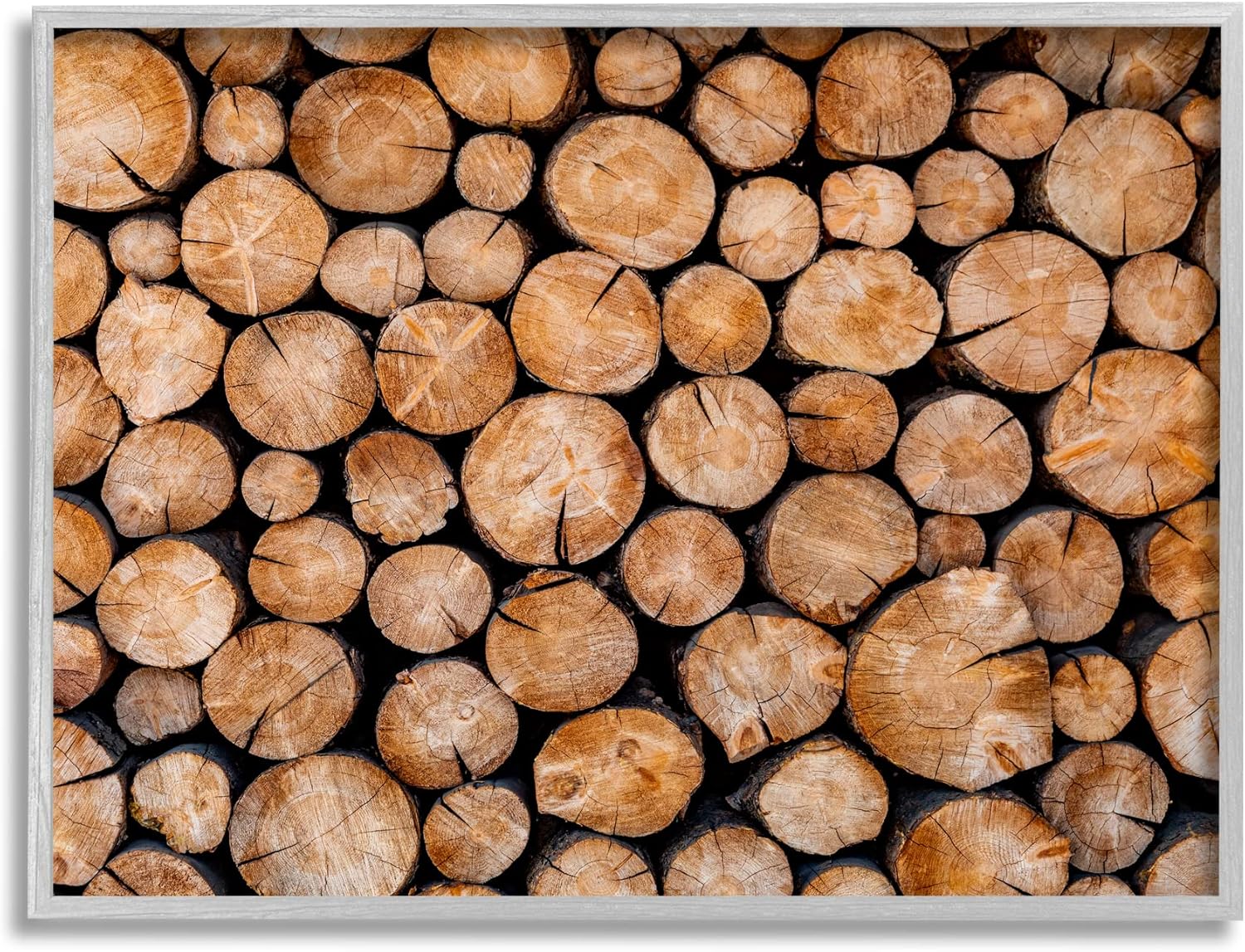 Stupell Industries Tree Logs Lumber Aerial View Modern Photography, Design by Jeff Poe Photography