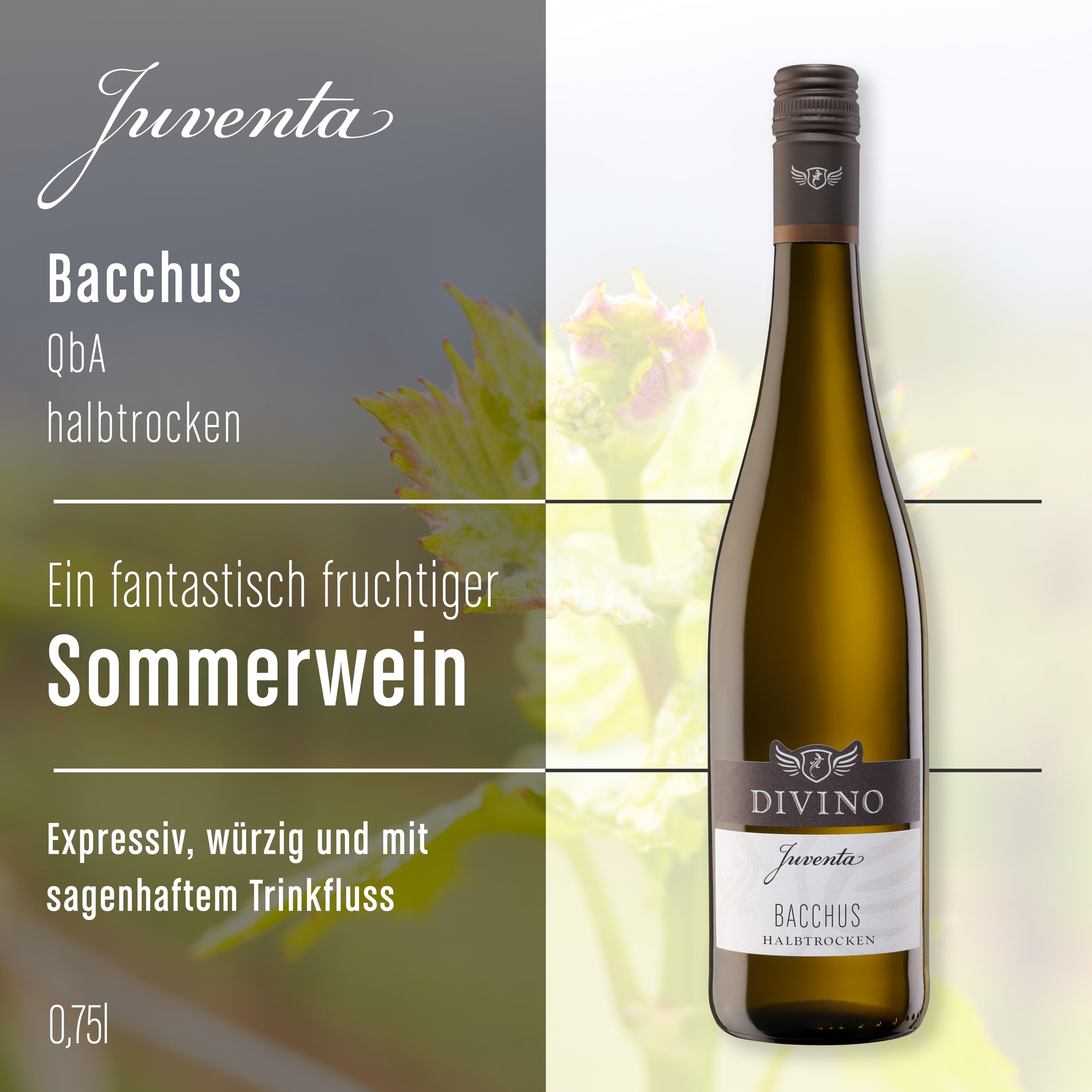 DIVINO JUVENTA Weißwein Bacchus halbtrocken (0,75 l) - Frankens Feine Weine