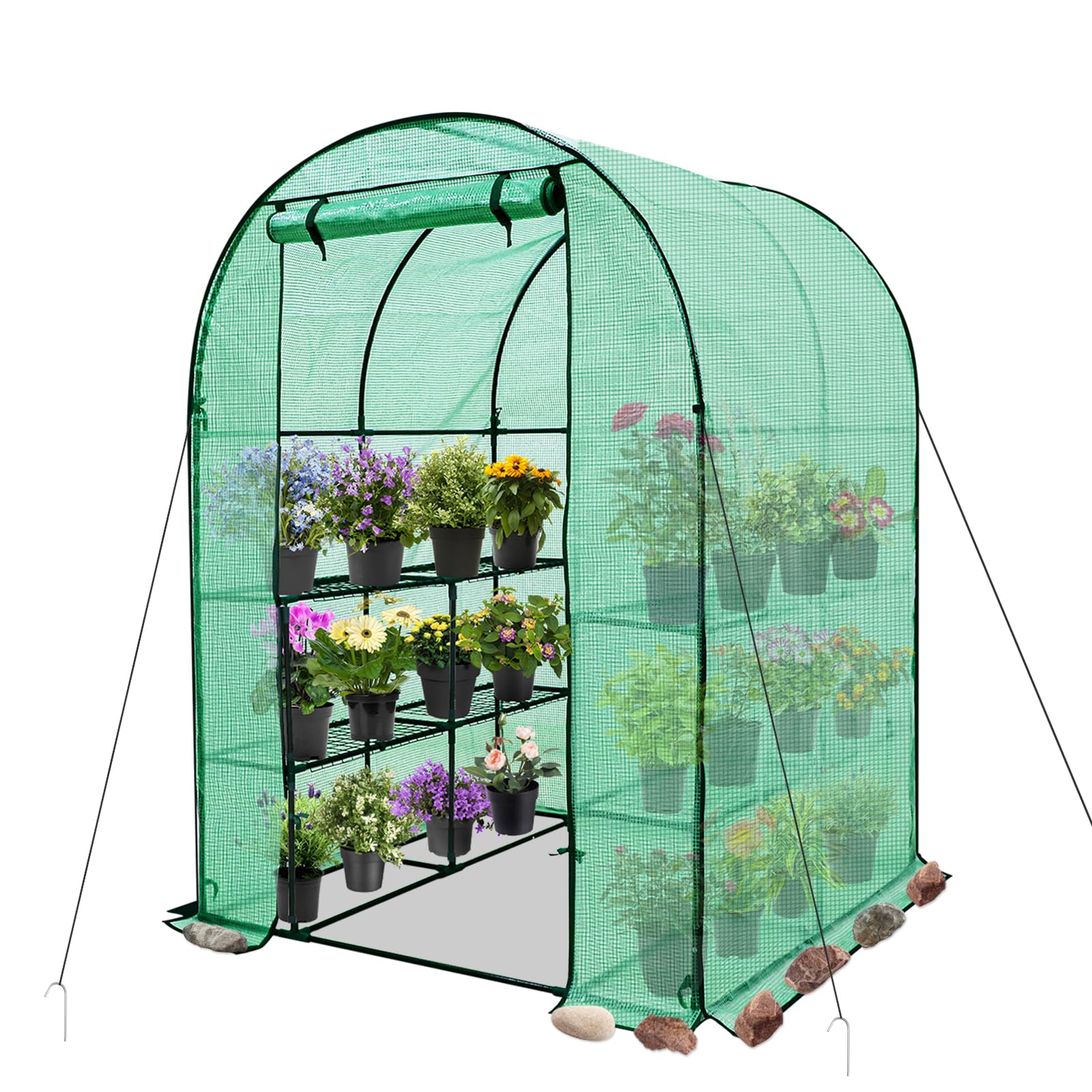 EAGLE PEAK3-Tier Walk in Portable Greenhouse with 8 Wire Shelves, Indoor and Outdoor Garden House with Roll Up Zipper Door and Windows, Easy Set Up, 56.3"x56.3"x76.8", Clear/Green PE Cover