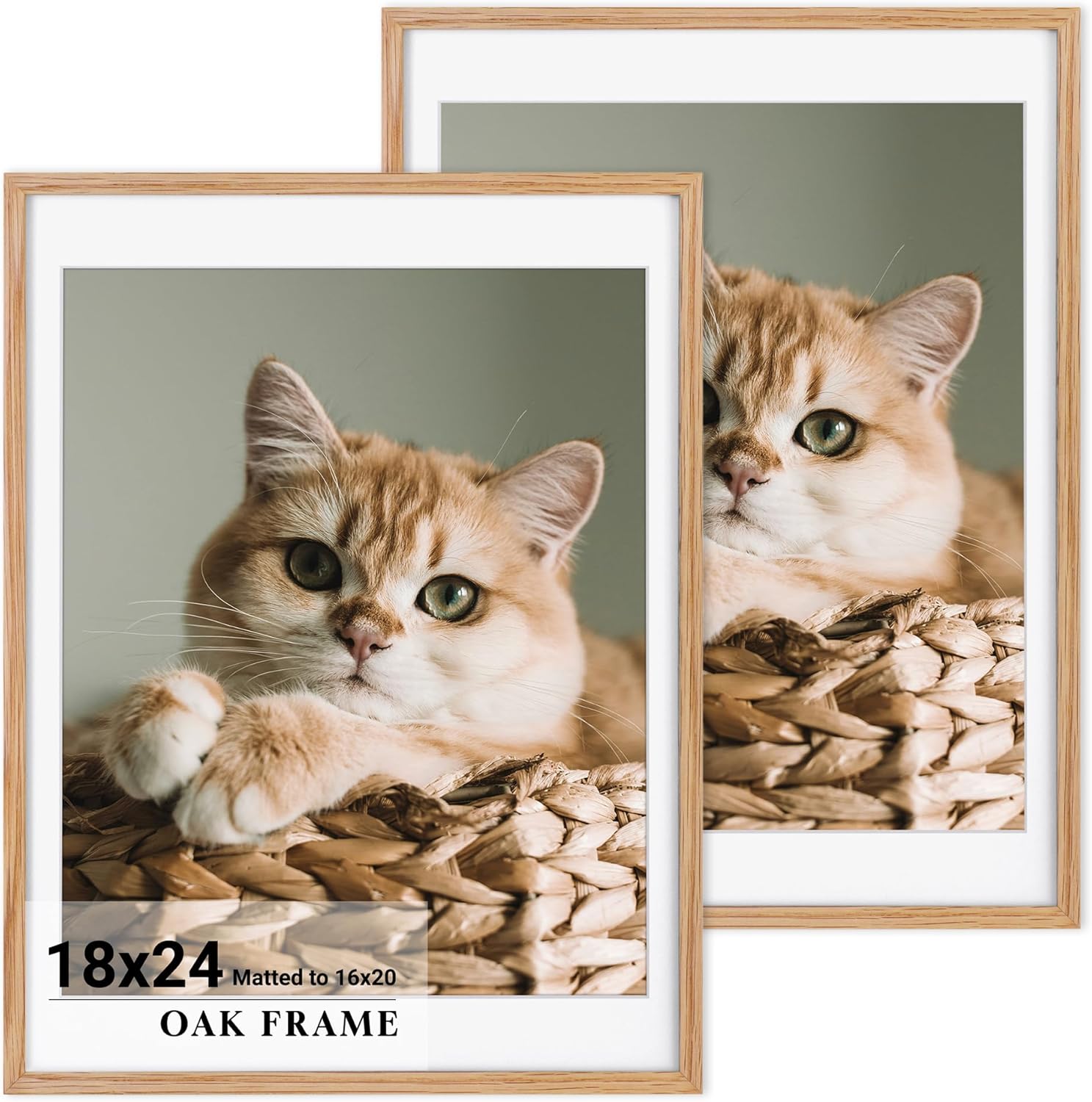 18x24 Picture Frame for wall,Premium Natural Solid Wooden Poster Frames Mat for 16x20 Picture & Tempered Glass,Art Photo and Wall Decor,Vertical or Horizontal Wall Hanging-Natural Oak 2 Packs