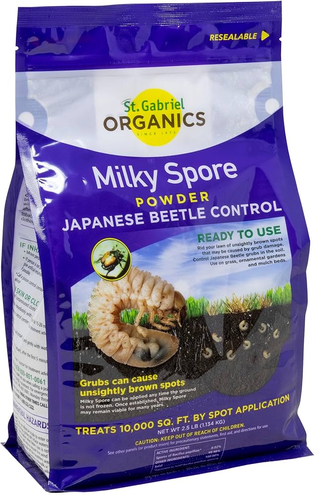 親株 P. FSQ Wanna Sp. Spored. 親株 P. FSQ Wanna Sp. Spored. - メルカリ